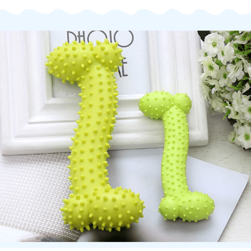 TPR Dog Chew Toy for Teeth Cleaning & Interactive Play Bone Shape