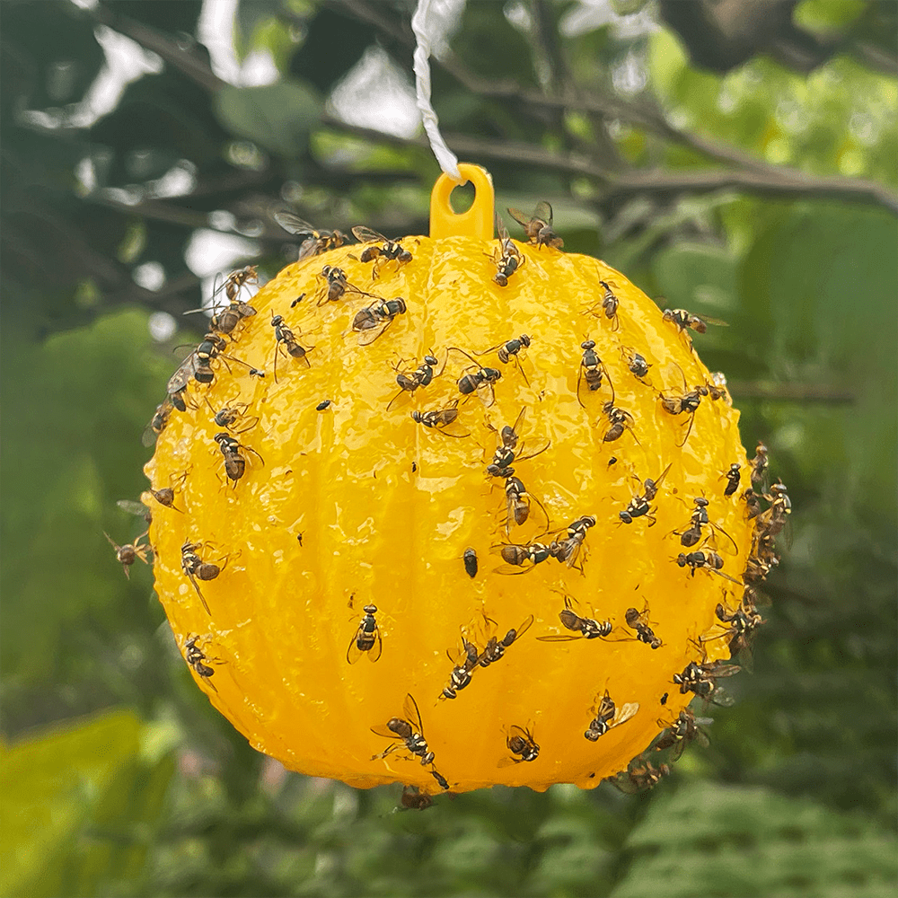 Pumpkin Shaped Fly Trap Ball - Catch Flies Instantly