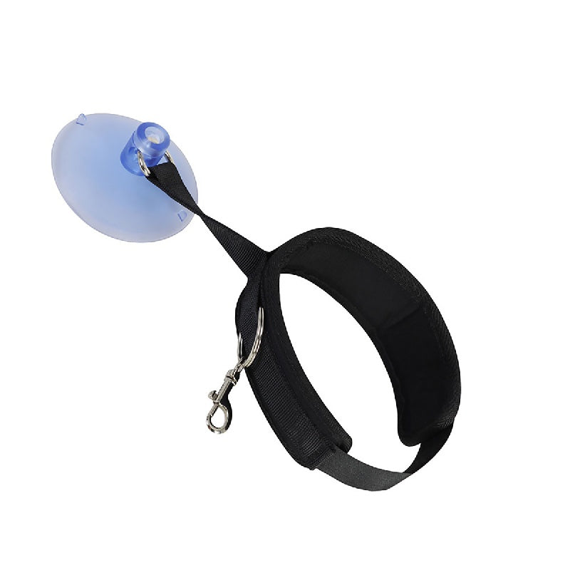 Pet Bathing Tool with Traction Rope and Suction Cup Hook