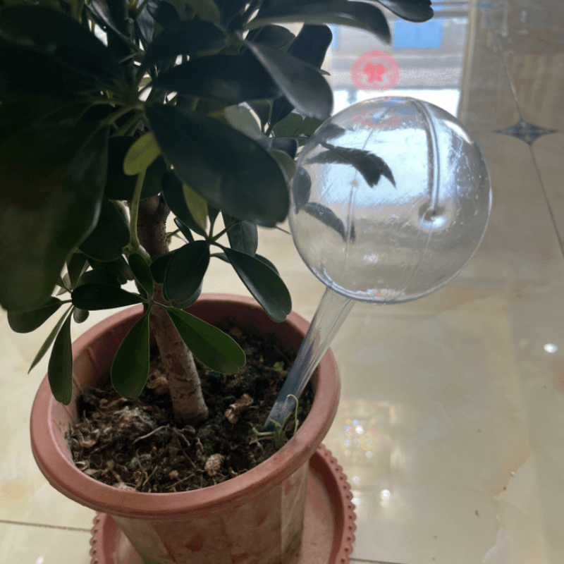 Automatic Flower Watering Device Self Watering Globes