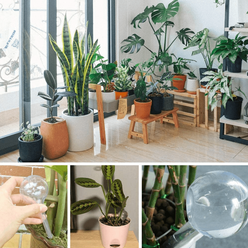 Automatic Flower Watering Device Self Watering Globes