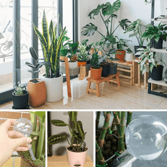 Automatic Flower Watering Device Self Watering Globes