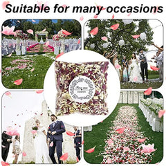 Biodegradable Dried Flower Confetti for Weddings & Parties