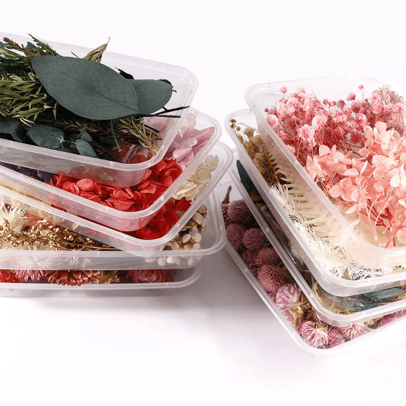 Real Dried Flower Resin Mold Fillings UV Epoxy Jewelry Craft DIY Supplies