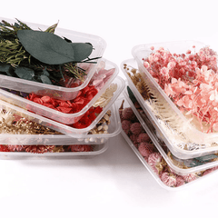 Real Dried Flower Resin Mold Fillings UV Epoxy Jewelry Craft DIY Supplies