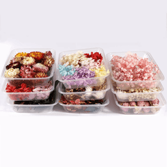 Real Dried Flower Resin Mold Fillings UV Epoxy Jewelry Craft DIY Supplies