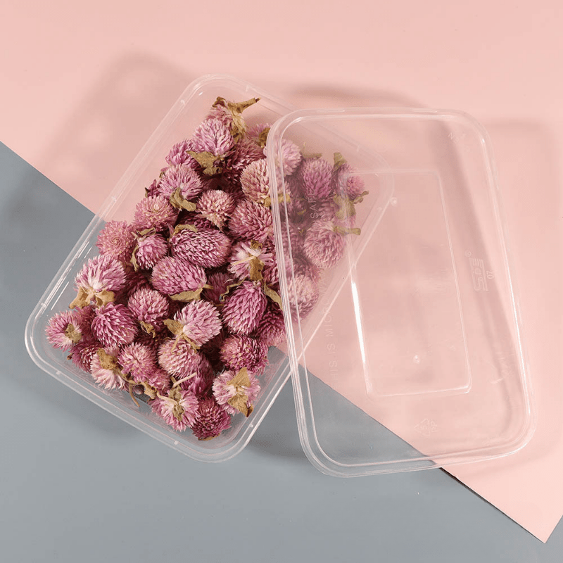 Real Dried Flower Resin Mold Fillings UV Epoxy Jewelry Craft DIY Supplies