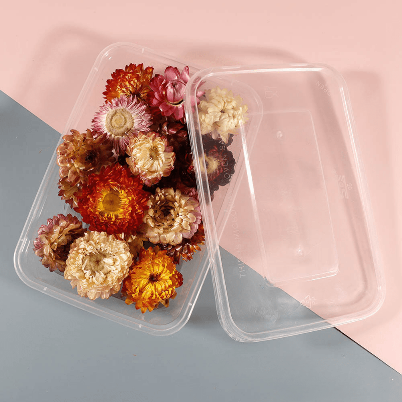 Real Dried Flower Resin Mold Fillings UV Epoxy Jewelry Craft DIY Supplies