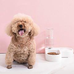 Multifunctional Pet Bowl with Automatic Water Bottle for Dogs and Cats