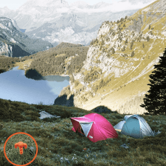 4pcs Heavy Duty Tent Stakes Camping Canopy Anchor Beach Tent