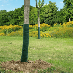 Winter-Proof Tree Protector Wrap for Trunk Guard