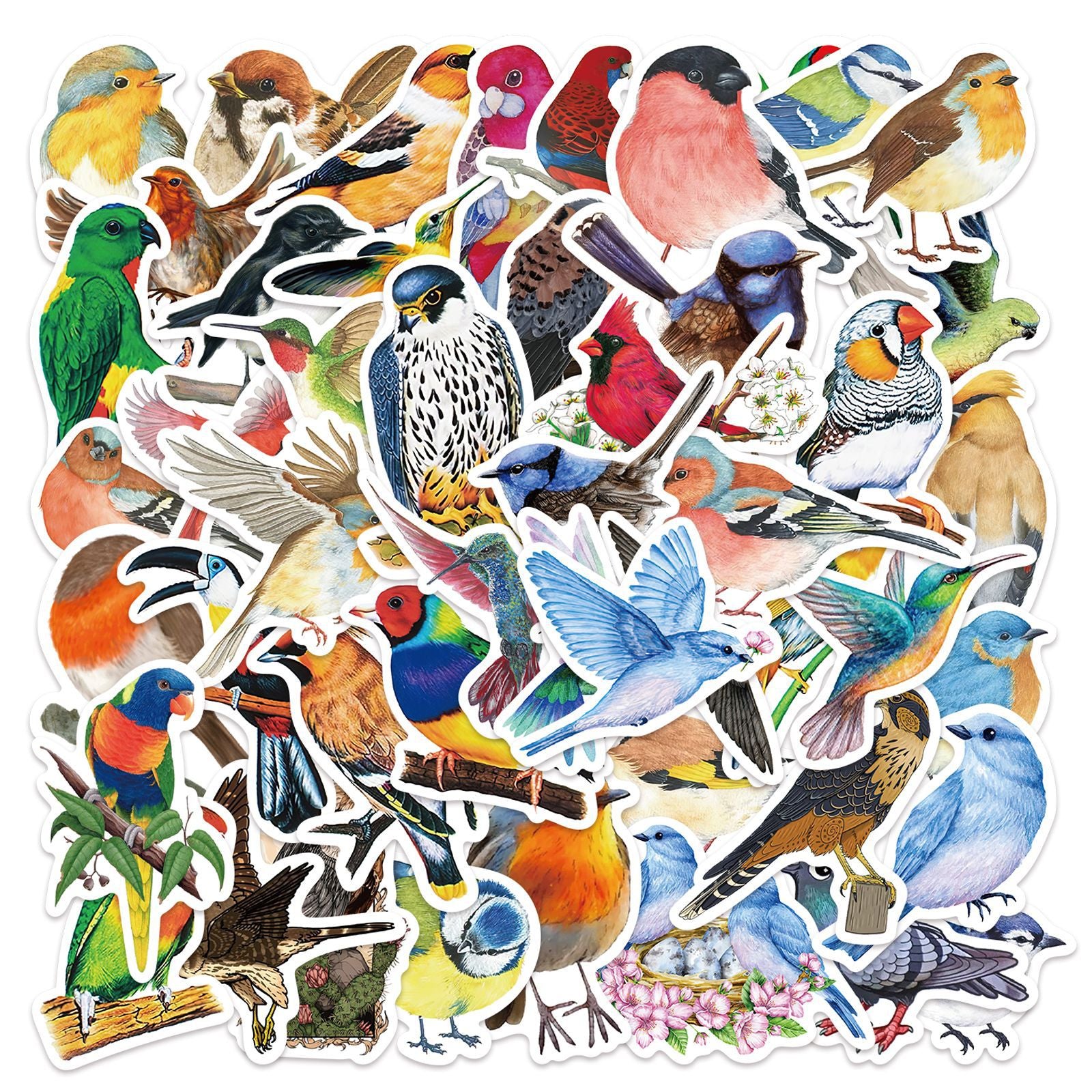 50 Watercolor Bird Stickers Room Decor Mobile Phone Computer DIY Waterproof
