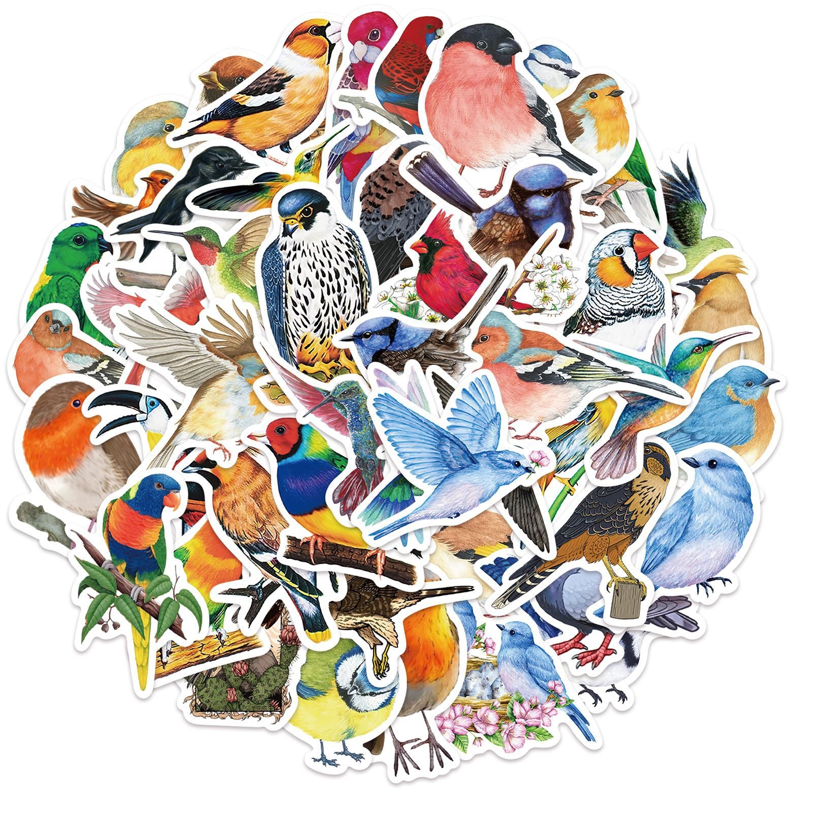 50 Watercolor Bird Stickers Room Decor Mobile Phone Computer DIY Waterproof