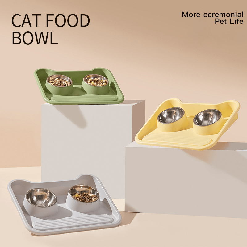 Stainless Steel Double Cat Feeder Bowls With Mat