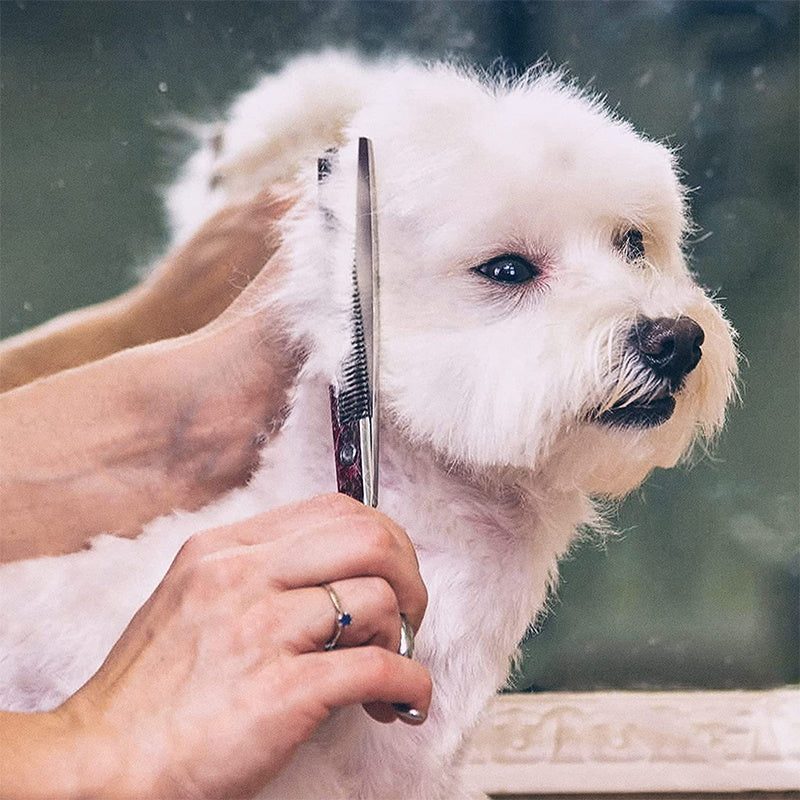 Stainless Steel Pet Hair Scissors Grooming Shears for Cats and Dogs