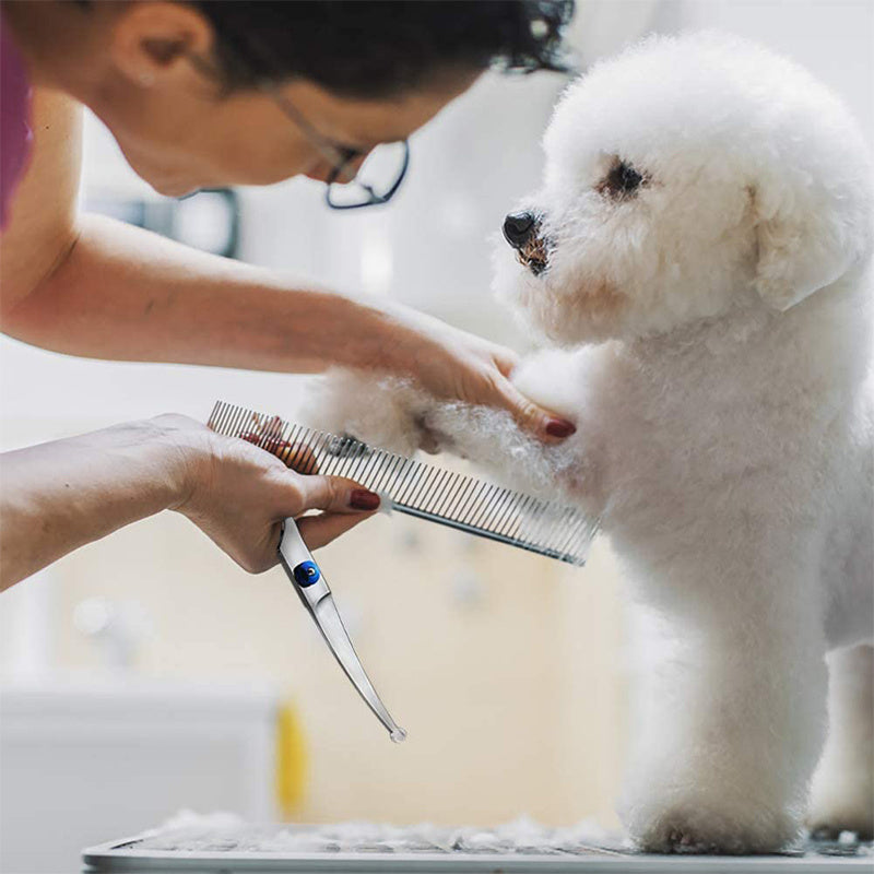 Stainless Steel Pet Hair Scissors Grooming Shears for Cats and Dogs