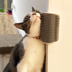 2 in 1 Pet Comb and Massage Brush for Cats Removes Hair and Relieves Stress