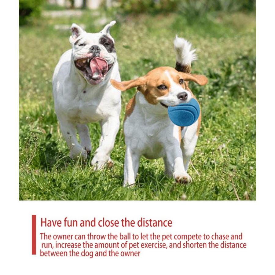Durable Rubber Dog Toy for Outdoor Play and Training