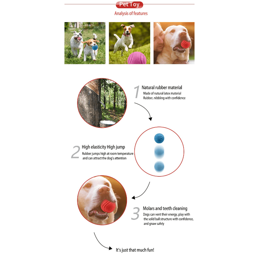 Durable Rubber Dog Toy for Outdoor Play and Training