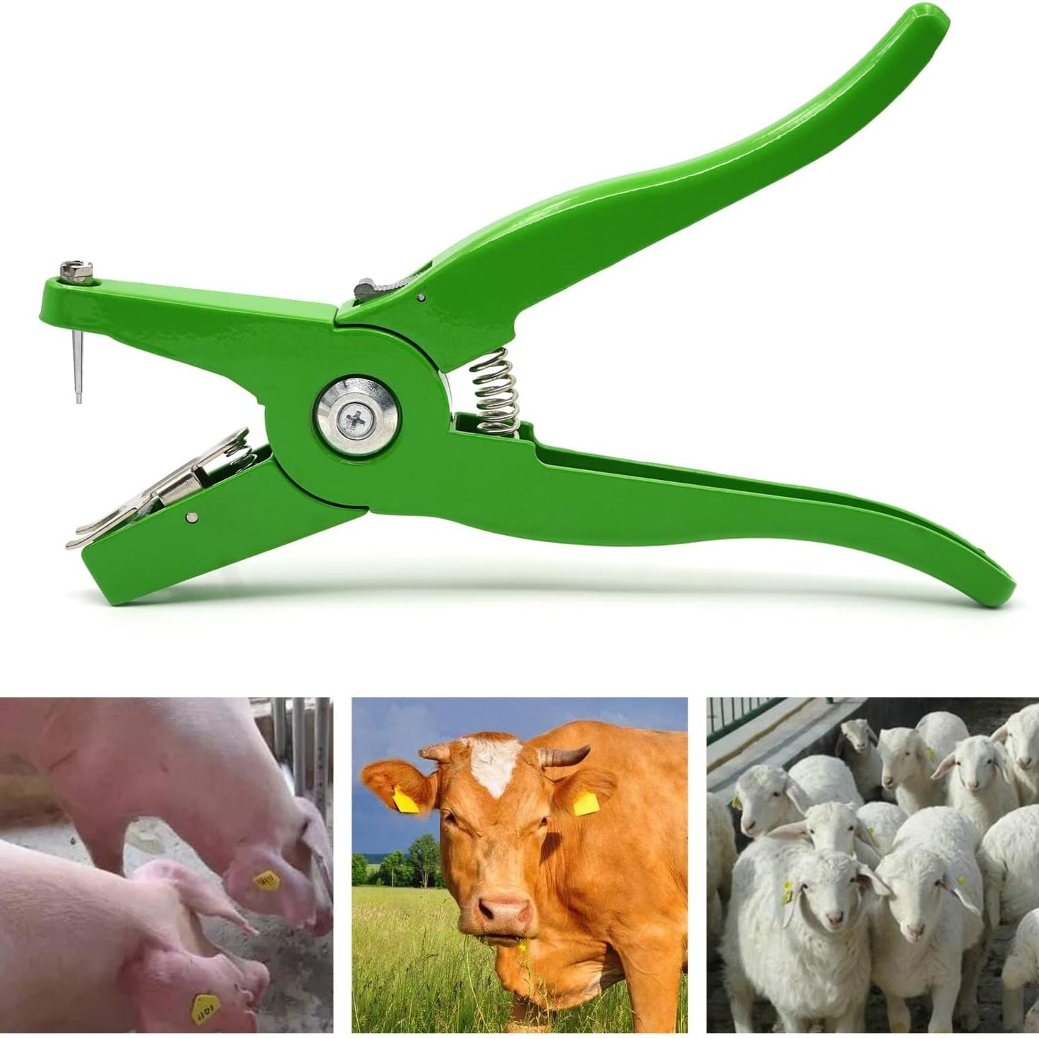 Livestock Ear Tag Pliers for Cattle Pig Goat Sheep Lamb Green