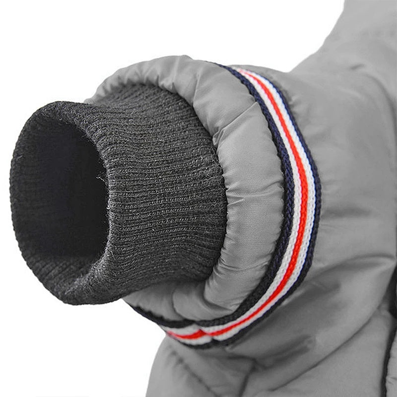 Waterproof Pet Outfits for Winter Warmth