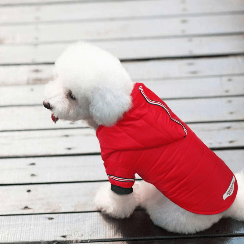 Waterproof Pet Outfits for Winter Warmth