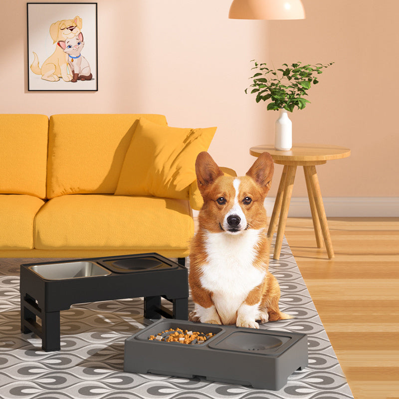 Raised Pet Slow Feeder Elevated Dog Bowls - Stress-Free Pet Feeding