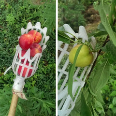 Fruit Picker Head Basket Pole Not Included High Altitude Bayberry Harvester