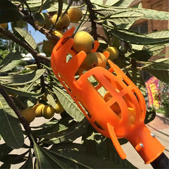 Fruit Picker Head Basket Pole Not Included High Altitude Bayberry Harvester