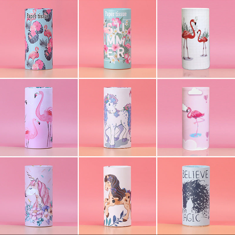 Car Mounted Tissue Dispensers with Special Cylindrical Box Packaging