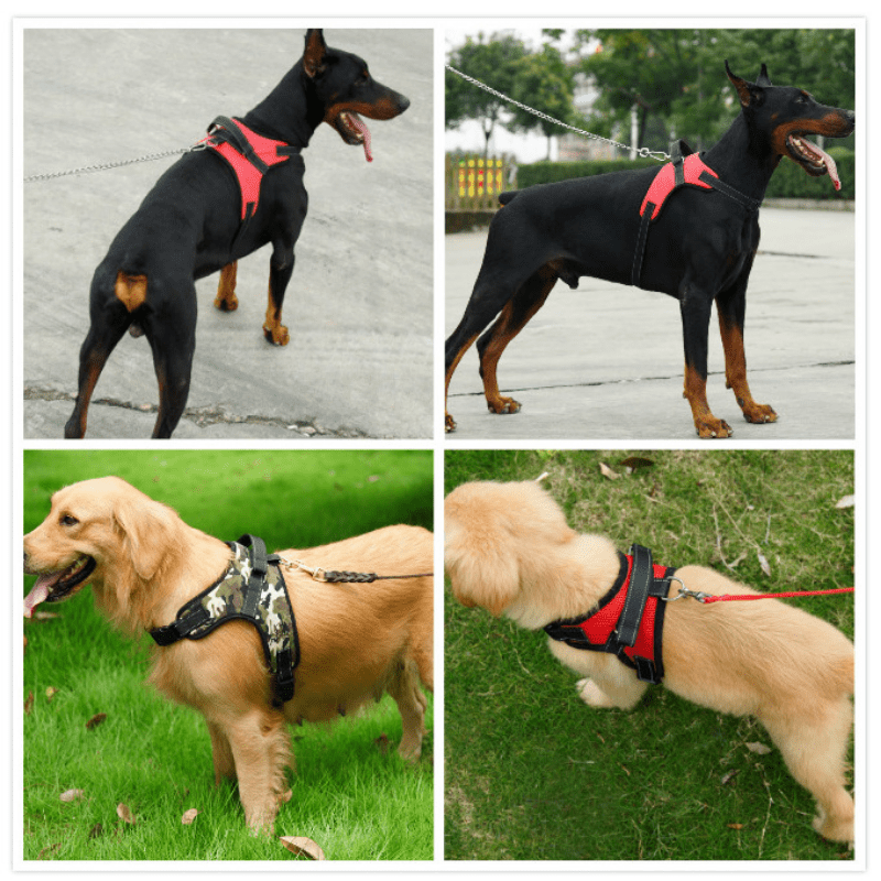 Adjustable Reflective Dog Harness No Pull No Choke for Small and Medium Dogs