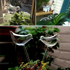 Shapes Houseplant Plant Pot Self Watering Bulbs Automatic Irrigation
