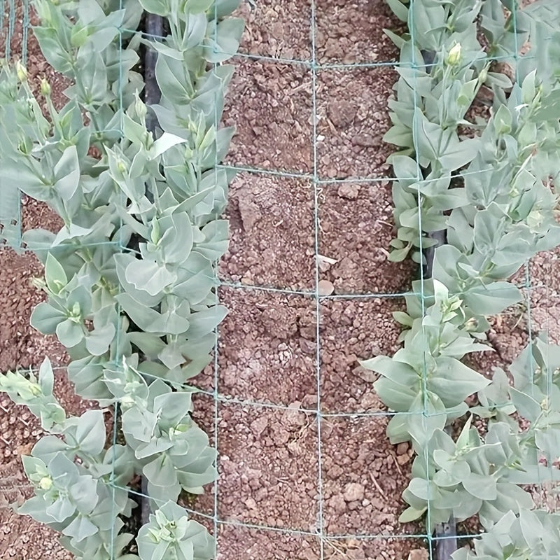 Heavy Duty Plant Trellis Net for Climbing Plants Fruits Flowers