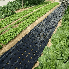 Breathable Mulch Weed Control Barrier for Gardening - Pack of 1