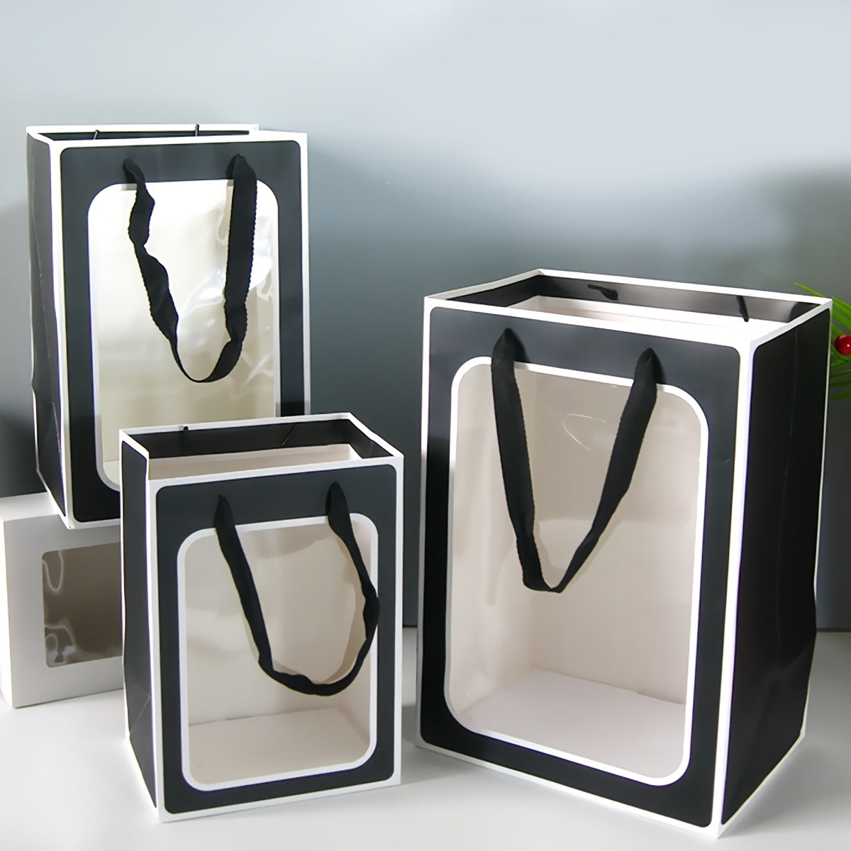 4 Clear Gift Bags 9.8x7.1x5.1 25 Large Gift Boxes