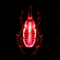 Fluorescent Bug Halloween Toys - Glowing In The Dark - Halloween Prank Toys