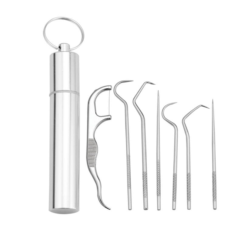 Stainless Steel Toothpick & Floss Set for Home & Travel