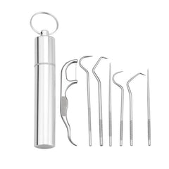 Stainless Steel Toothpick & Floss Set for Home & Travel