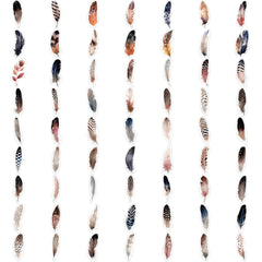 Colorful Feather Sticker Set Scrapbook DIY Journal Arts Project Collages