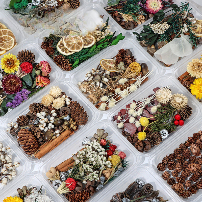 Dried Fruits & Flowers DIY Kit Pine Nuts Cinnamon Ornaments