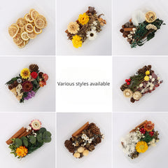 Dried Fruits & Flowers DIY Kit Pine Nuts Cinnamon Ornaments