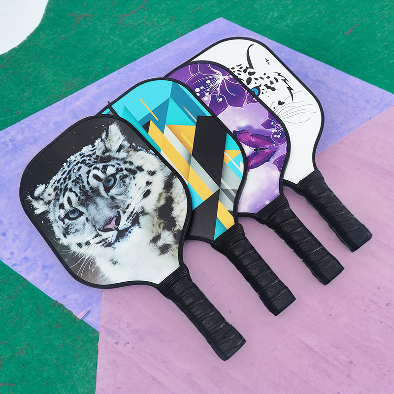 Fiberglass Carbon Fiber Pickleball Paddle Set with Ball for Training