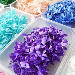 Dried Flowers Kit for Crafts and Decorations