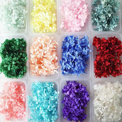 Dried Flowers Kit for Crafts and Decorations