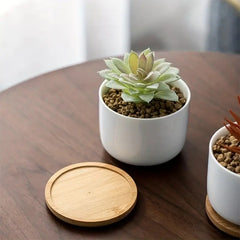 2pcs Bamboo Round Flower Pot Tray Succulent Fairy Wooden Flower Tray