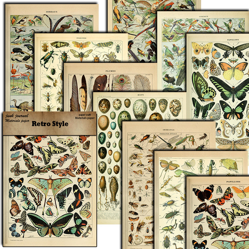 10pcs Large Insect Paper Retro Journal Decoration DIY Student Stationery