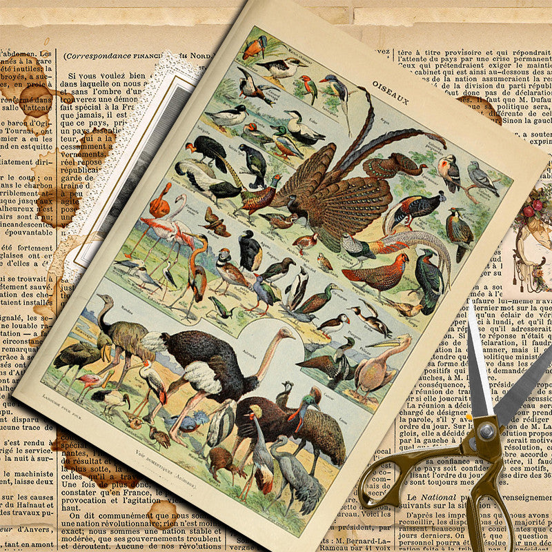10pcs Large Insect Paper Retro Journal Decoration DIY Student Stationery