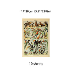 10pcs Large Insect Paper Retro Journal Decoration DIY Student Stationery