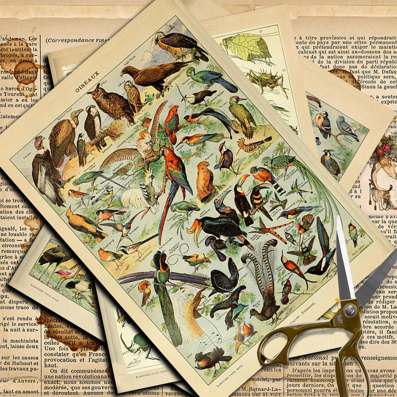10pcs Large Insect Paper Retro Journal Decoration DIY Student Stationery
