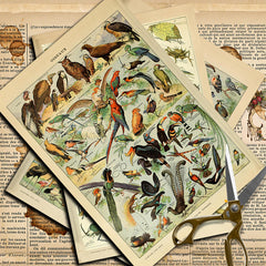 10pcs Large Insect Paper Retro Journal Decoration DIY Student Stationery